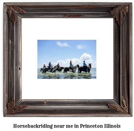 horseback riding near me in Princeton, Illinois